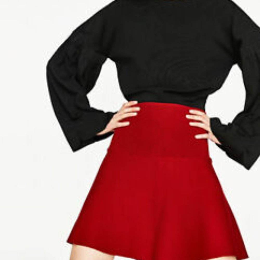 NWT Zara Mini Skirt